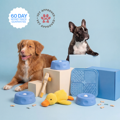 Slow Feeder Dog Bowl