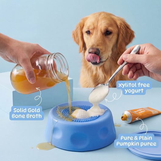 Slow Feeder Dog Bowl