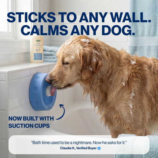 Slow Feeder Dog Bowl