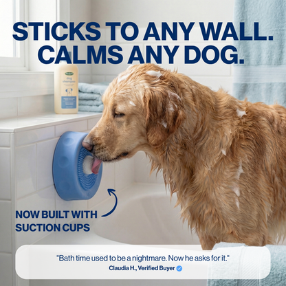 Slow Feeder Dog Bowl