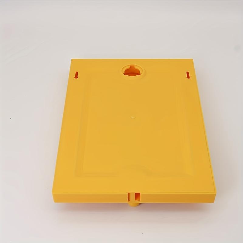 Avelo Candy Frame