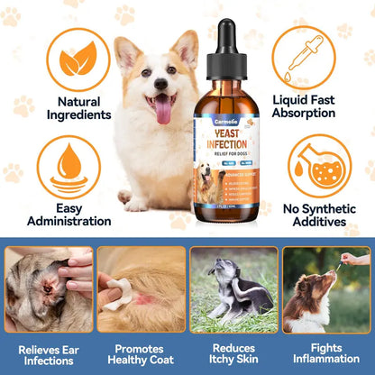 Avelo Yeast & Itch Relief Drops